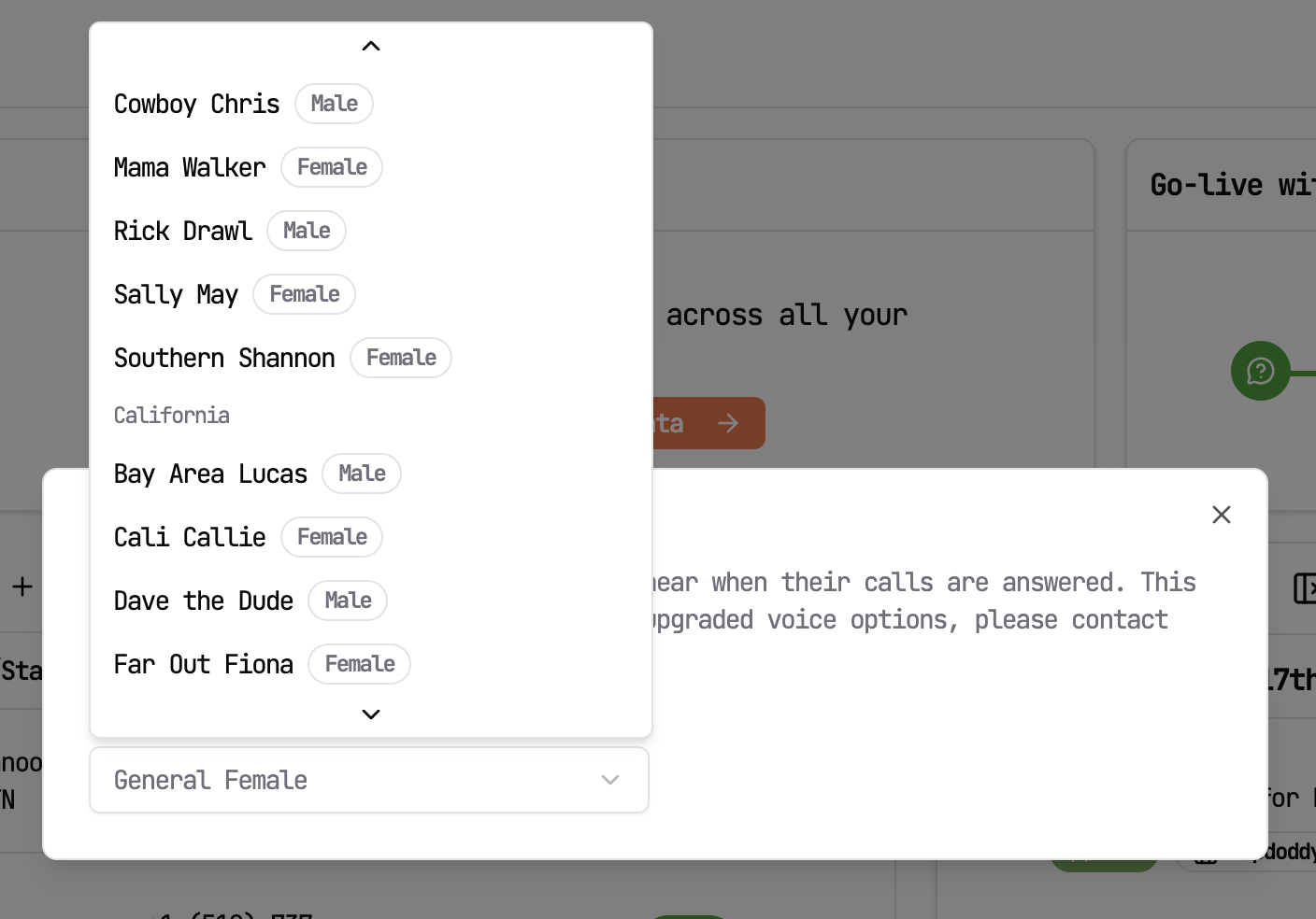 Voicemail Voice Options Selection Menu