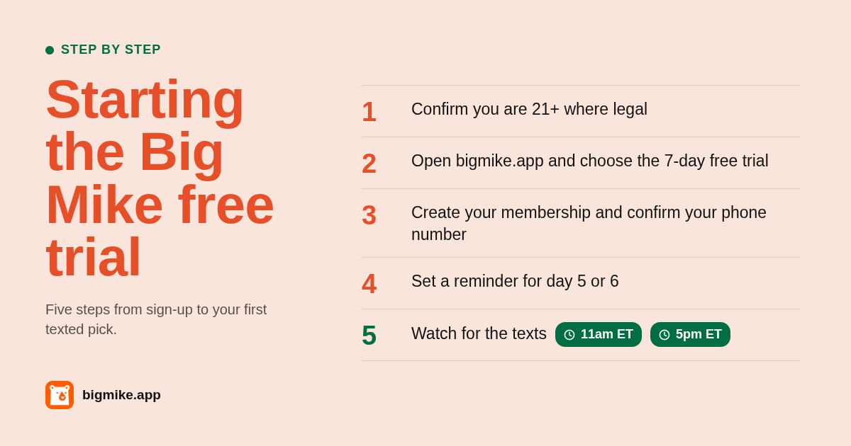 Step by step card showing how the Big Mike free trial works from signup to first text
